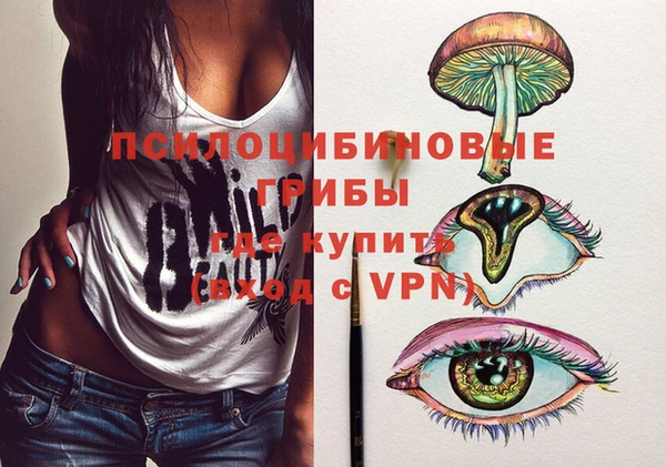 соль ск Абаза