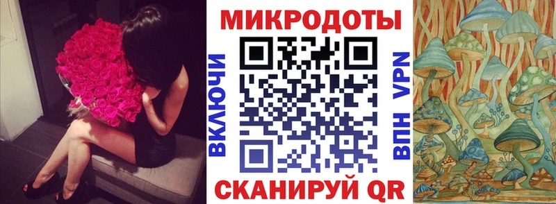 хочу   Сольвычегодск  Псилоцибиновые грибы мухоморы 